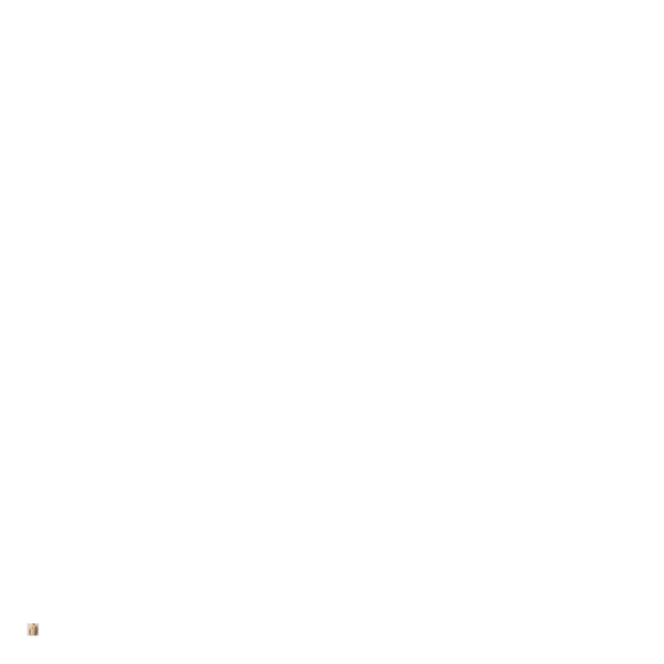 GenZify